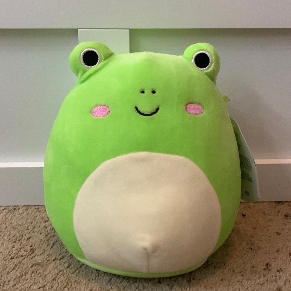 Wendy the Frog Squishmallow